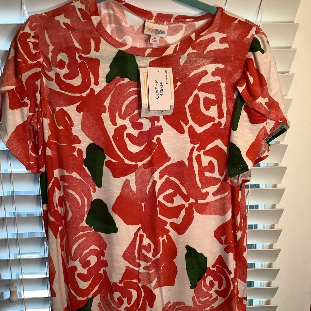 Lularoe Olive Tee - Red & Green/Used